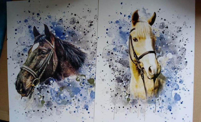 Dein Pferd als Wasserfarben Portrait